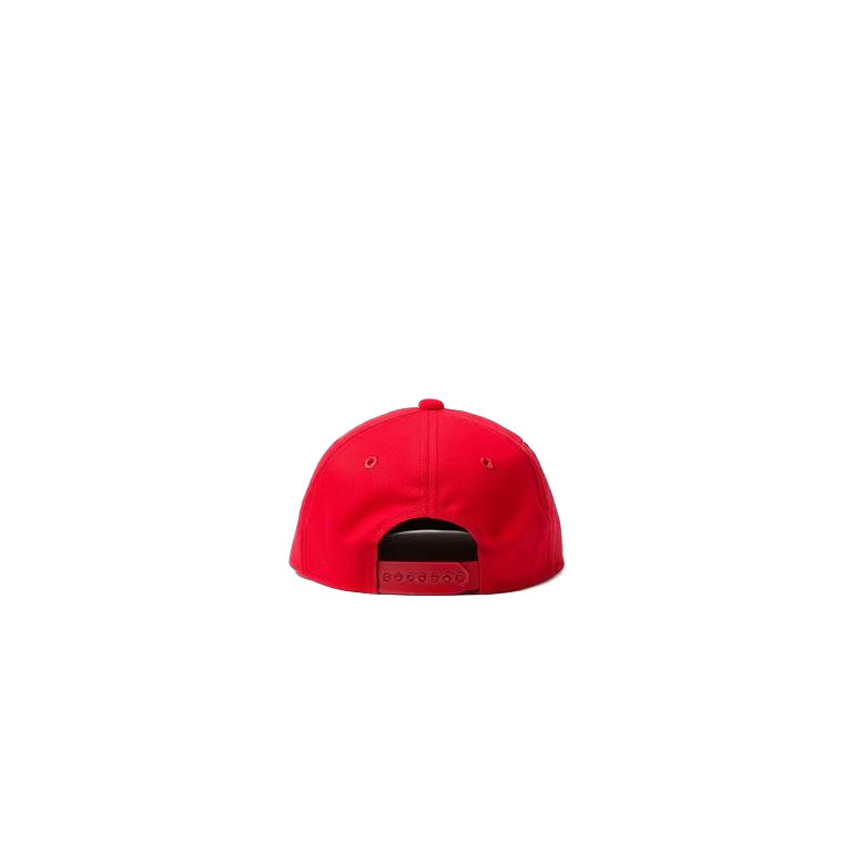 SNAPBACK